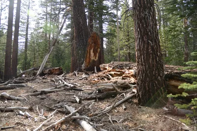 DSC_3263 (Large).JPG